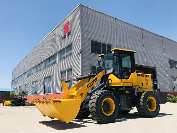 Common Faults and Maintenance Guide for Compact Loaders