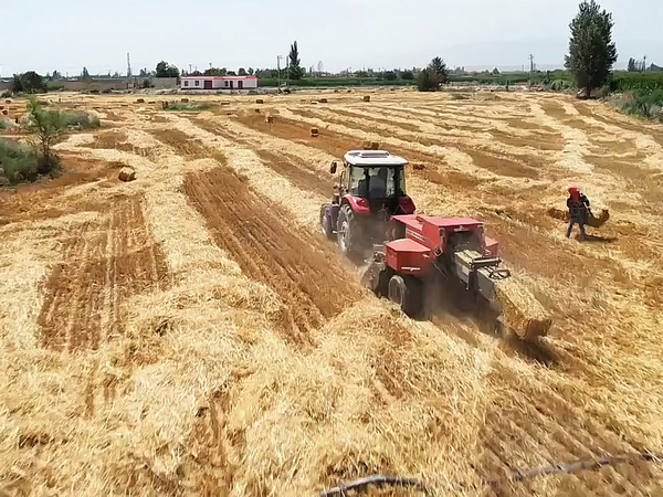 XCMG XT804 Boosts Straw Recovery and Green Farming in Northwest China